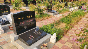 公墓的歷史與文化價值！