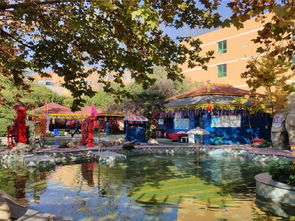 西安秦龍溫泉游玩全攻略 門票價(jià)格、地址、溫泉體驗(yàn)與貼心貼士