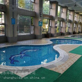 萊蕪芬尼克茲空氣能溫泉加熱設備 創(chuàng)新設計與技術(shù)研發(fā)引領(lǐng)綠色溫泉新時代